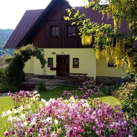 Apartments Vecernik Rokytnice Rokytnice nad Jizerou Luaran gambar