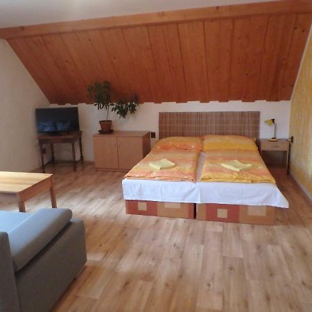 Apartments Vecernik Rokytnice Rokytnice nad Jizerou Luaran gambar
