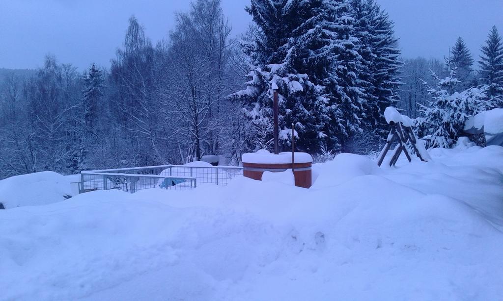 Apartments Vecernik Rokytnice Rokytnice nad Jizerou Luaran gambar