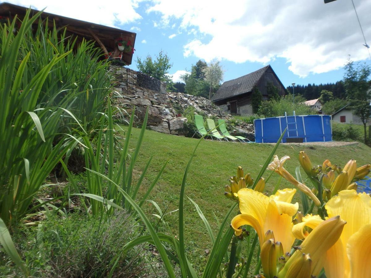 Apartments Vecernik Rokytnice Rokytnice nad Jizerou Luaran gambar
