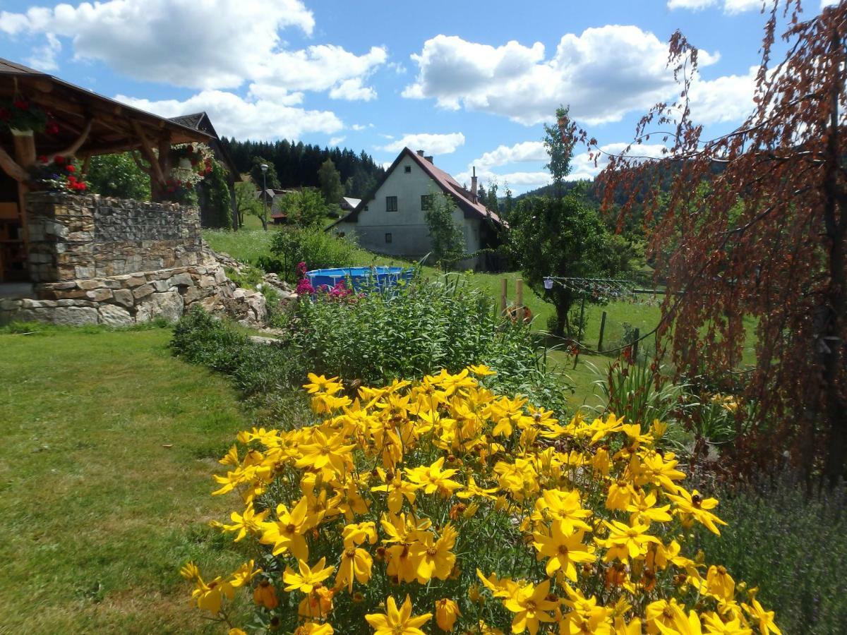 Apartments Vecernik Rokytnice Rokytnice nad Jizerou Luaran gambar